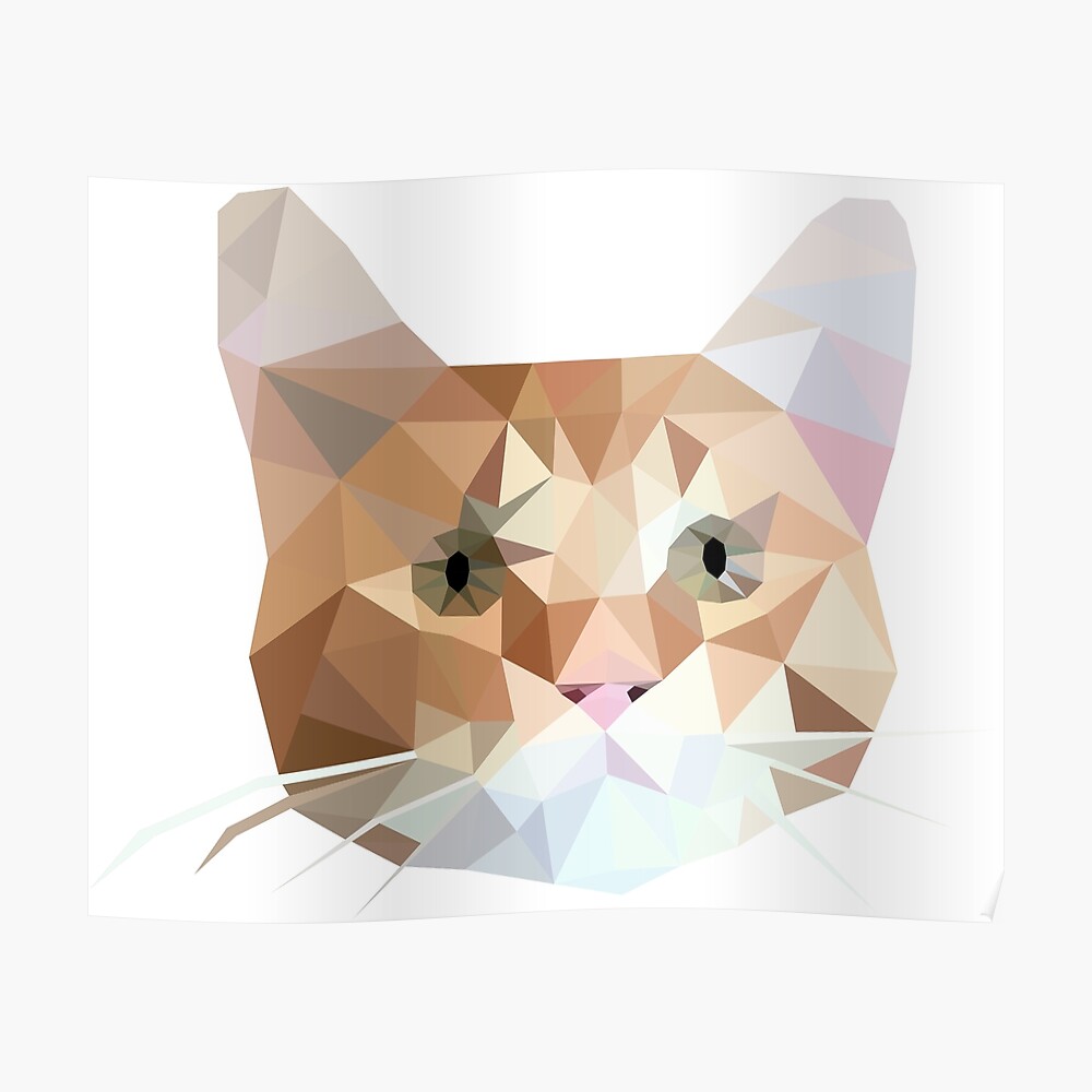 Cubic Cat