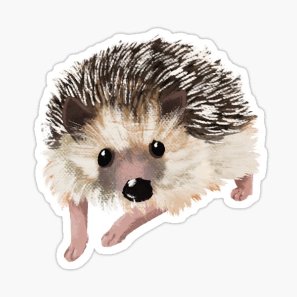 Cute Hedgehog Sticker