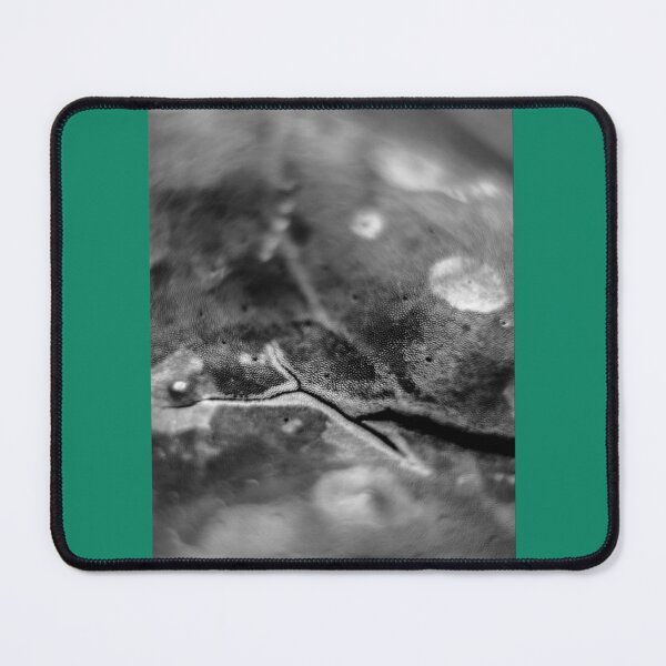 Item preview, Release Graphic    designed and sold by QuerxienCAN.
