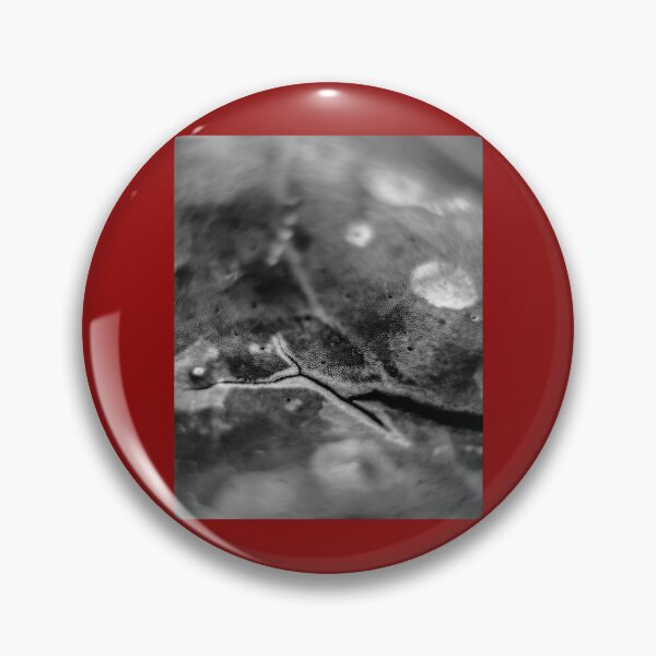 Item preview, Release Graphic    designed and sold by QuerxienCAN.