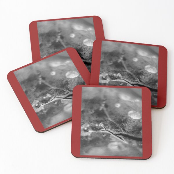 Item preview, Release Graphic    designed and sold by QuerxienCAN.