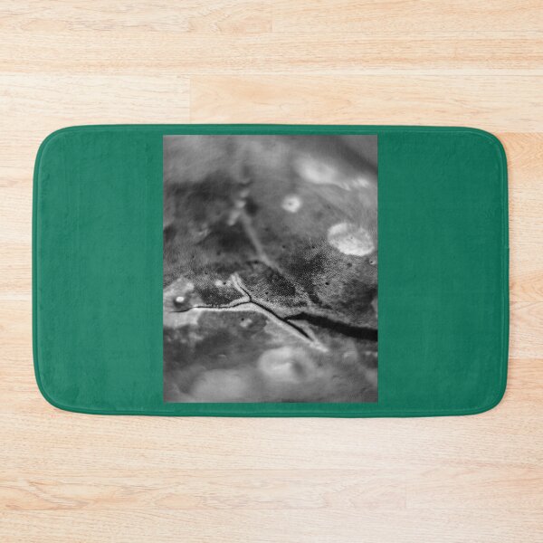 Item preview, Release Graphic    designed and sold by QuerxienCAN.