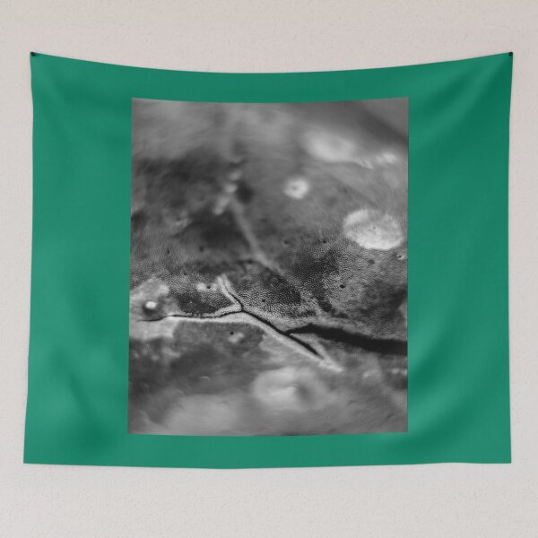 Item preview, Release Graphic    designed and sold by QuerxienCAN.
