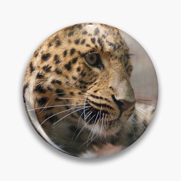 Item preview, LEOPARD LOOK designed and sold by BE-FOCUS.
