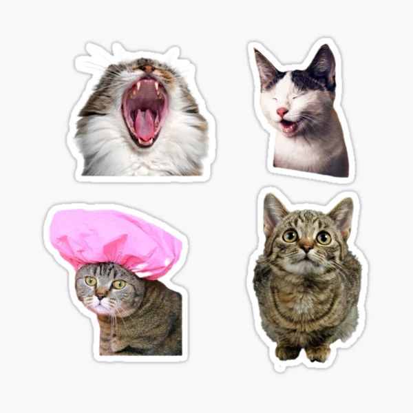 Silly Cats Stickers - Jentrepidus