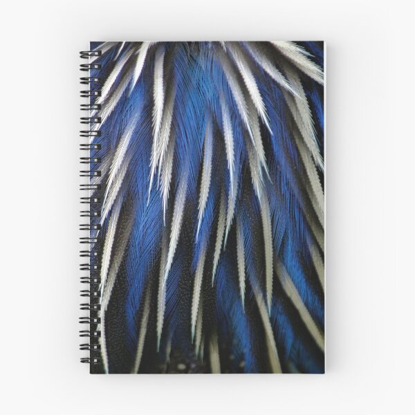 Item preview, Cobalt Feathers designed and sold by chocolatemouse.