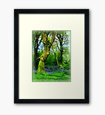 Fairy Playground Framed Print
