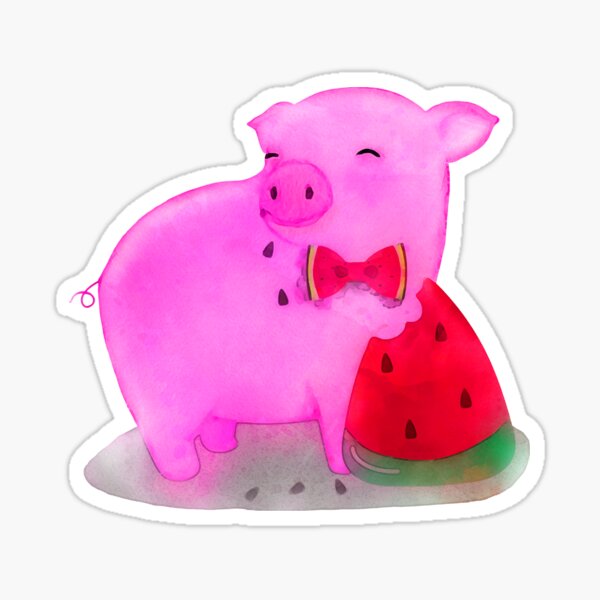 "Cute piglet eating watermelon watercolor painting " Sticker for Sale ...