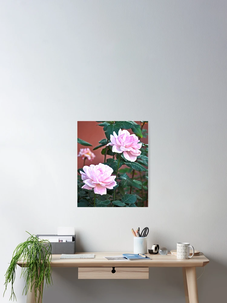 Thumbnail 2 von 3, Poster, ROSES ROSES ROSES ICH DANKE ALLEN ROSEN designt und verkauft von JAYMILO.