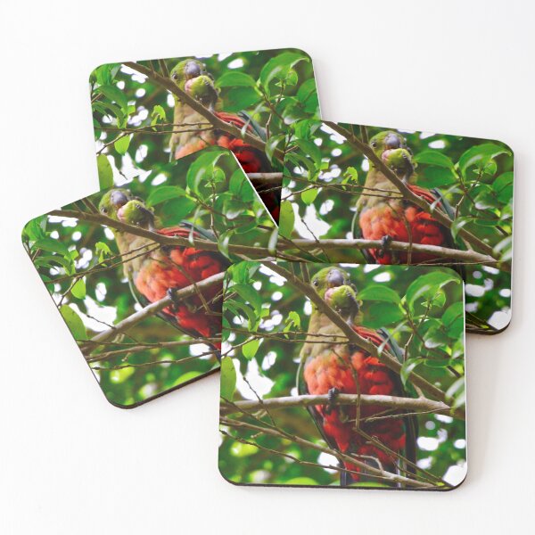 Item preview, King Parrot feeding in the tree ! designed and sold by Mickangelhere.