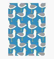 Seagull 7.0 Photographic Print
