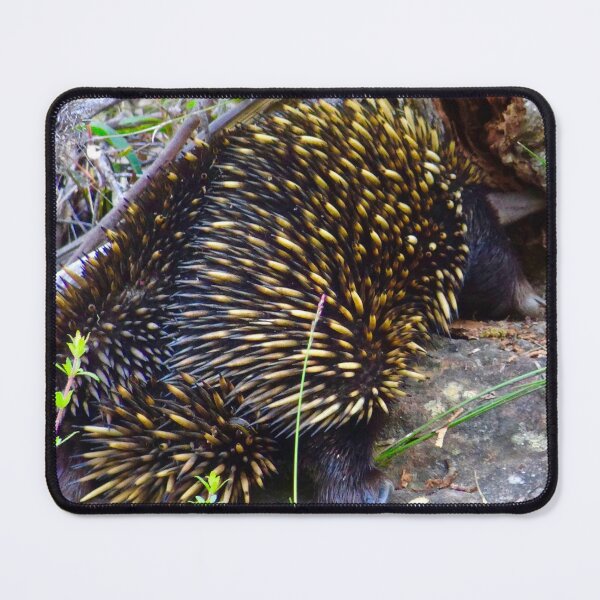 Item preview, Echidna Having a Feed! designed and sold by Mickangelhere.