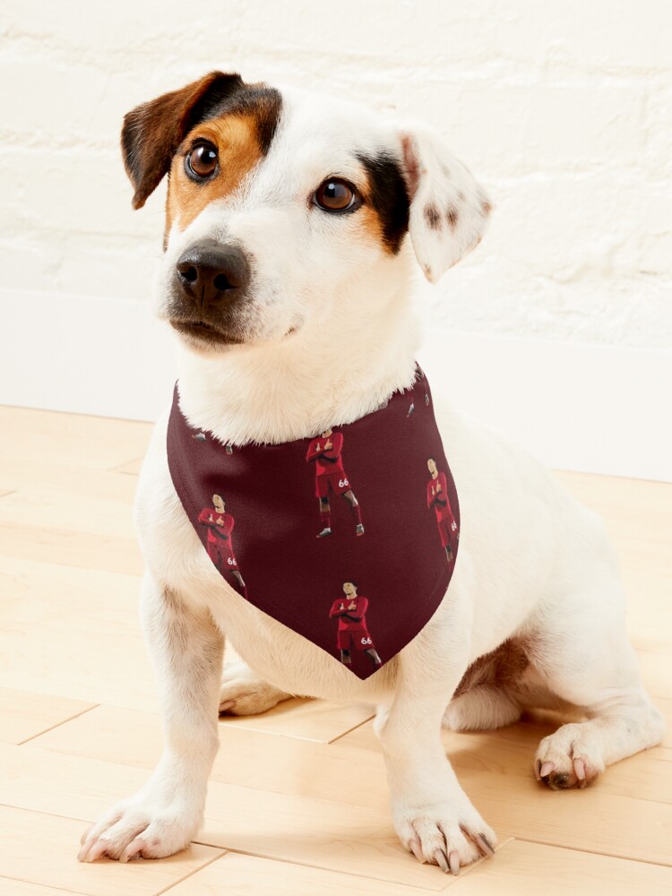 Liverpool 2024 dog bandana