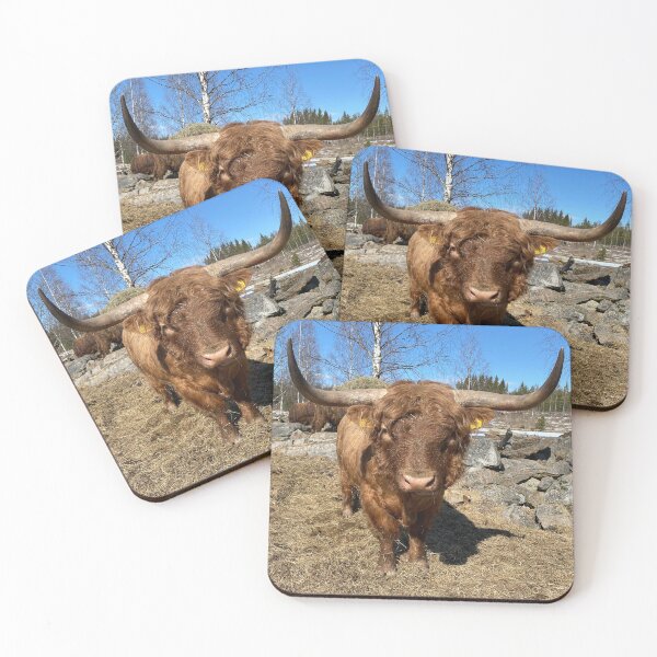 Item preview, Scottish Highland Cattle Bull with big horns 3309 designed and sold by SaarelaHighland.