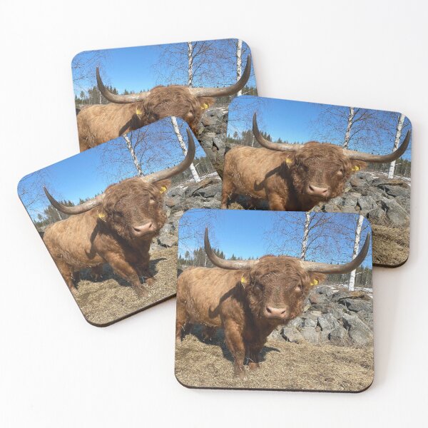 Item preview, Scottish Highland Cattle Bull 3310 designed and sold by SaarelaHighland.