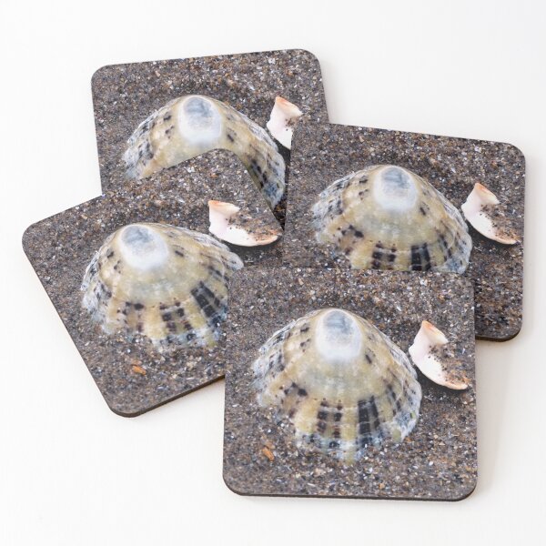 Item preview, shell designed and sold by KathleenDawson.