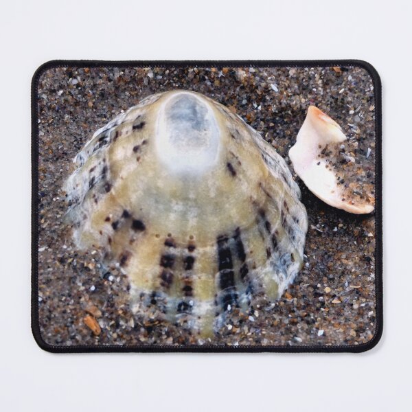 Item preview, shell designed and sold by KathleenDawson.