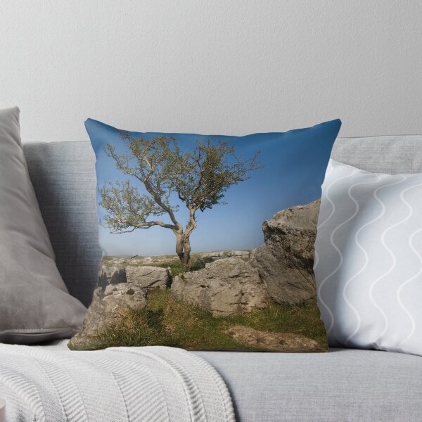 Item preview, Hawthorn tree in limestone rock designed and sold by eddiej.