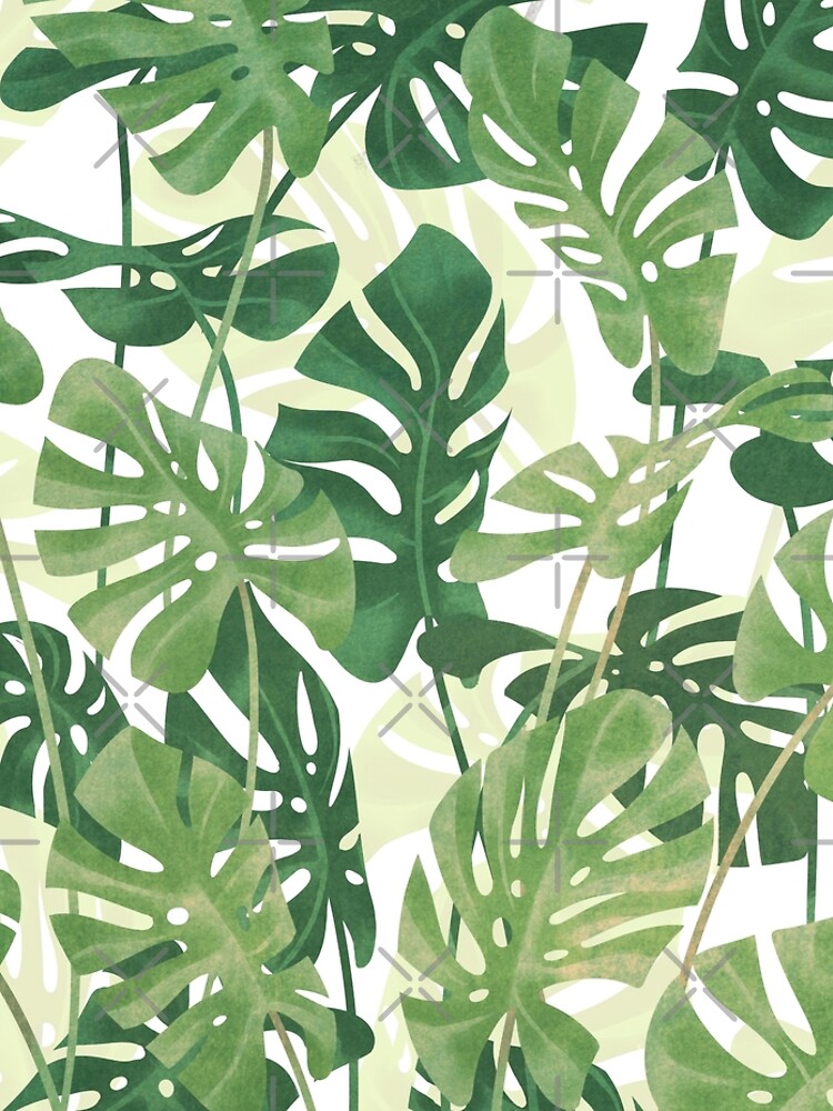 Vintage Monstera leaves by ikerpazstudio