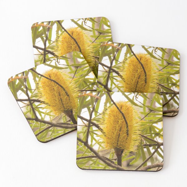 Item preview, Western Australian banksia designed and sold by Life Images by Jill .