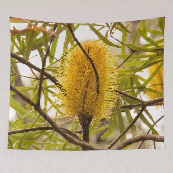 Item preview, Western Australian banksia designed and sold by Life Images by Jill .