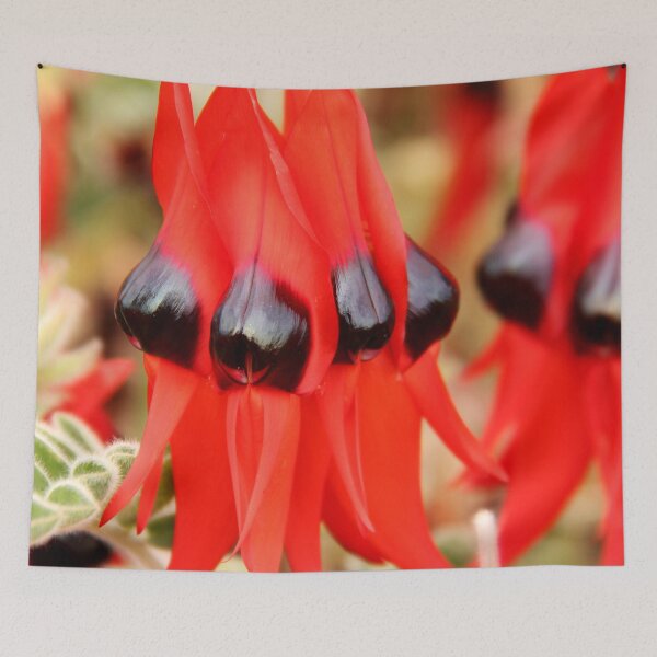 Item preview, Sturt Pea - Australian wildflower designed and sold by Life Images by Jill .