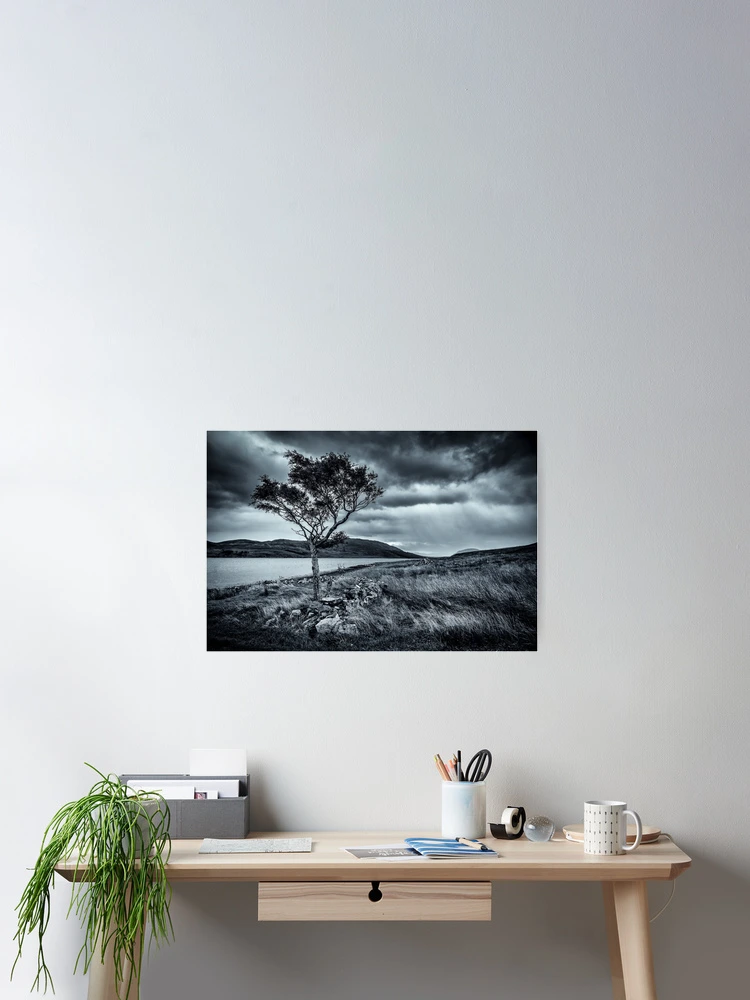 Thumbnail 2 of 3, Poster, Lone Tree designed and sold by Rjmcveigh.