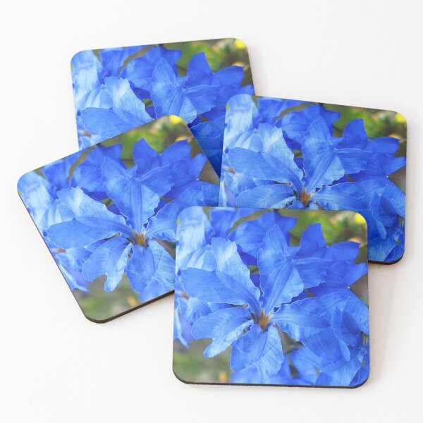 Item preview, Blue Leschenaultia  designed and sold by Life Images by Jill .