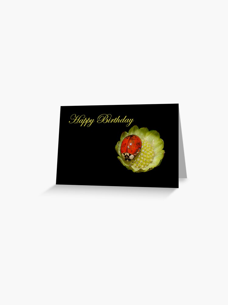 Carte De Vœux Joyeux Anniversaire Coccinelle Par Miracles Redbubble