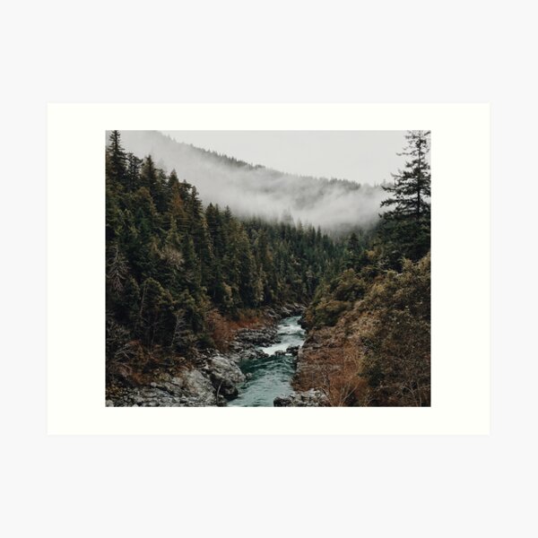 River in the Forest Art Print