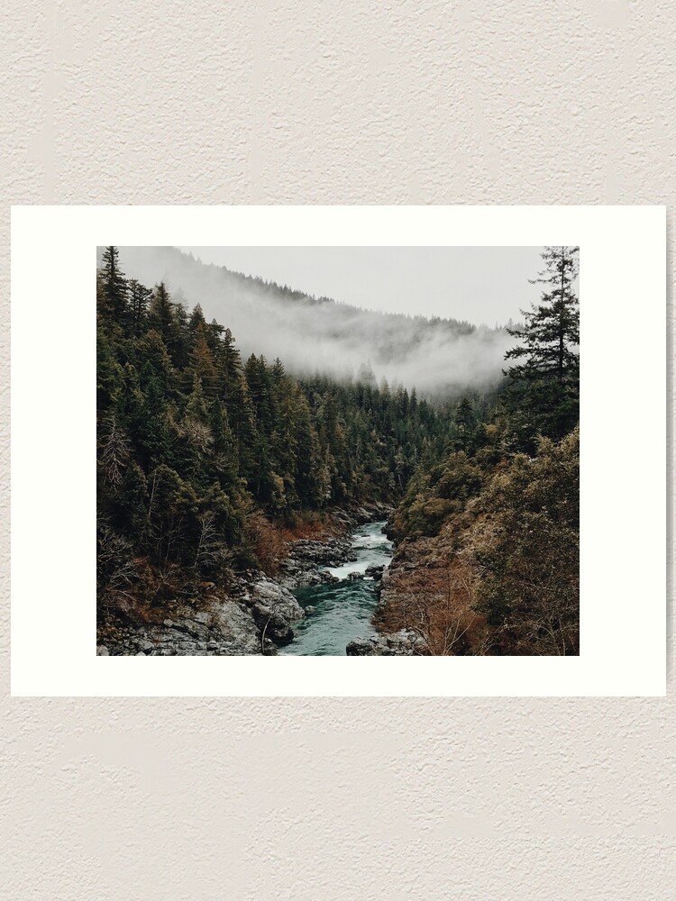 Alternate view of River in the Forest Art Print