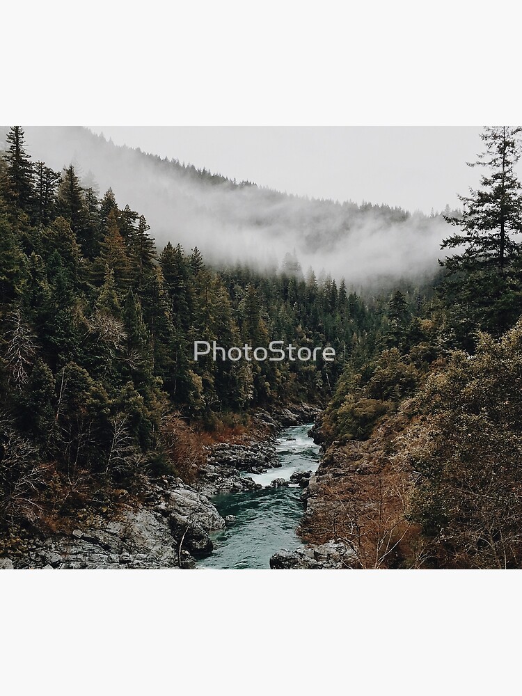 River in the Forest by PhotoStore
