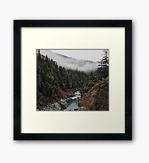 River in the Forest Framed Print