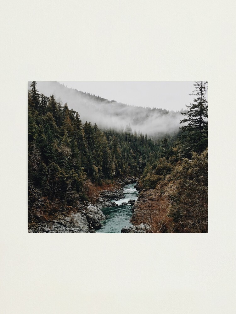 Alternate view of River in the Forest Photographic Print