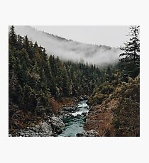 Lámina fotográfica Río en el bosque