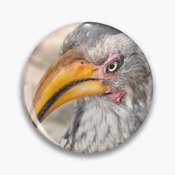 Item preview, Southern Yellow-Billed Hornbill designed and sold by RPMouton.