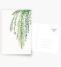 Grüne Schnur der Perlentintenillustration botanische Natur Postkarten