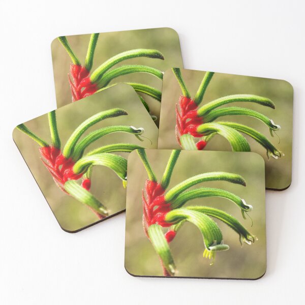 Item preview, Red Kangaroo Paw - Western Australia designed and sold by Life Images by Jill .