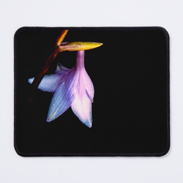 Item preview, Looking - A View  designed and sold by Carl Gaynor.