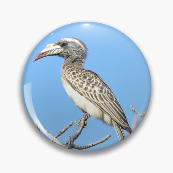 Item preview, Hornbill Bird designed and sold by RPMouton.