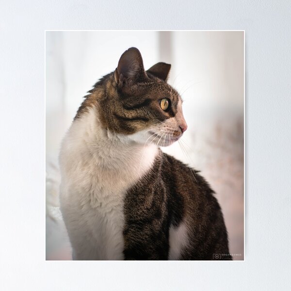 Item preview, Cat designed and sold by edgar89.