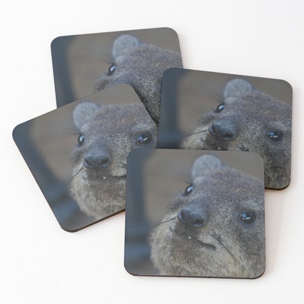 Item preview, Rock Hyrax designed and sold by RPMouton.