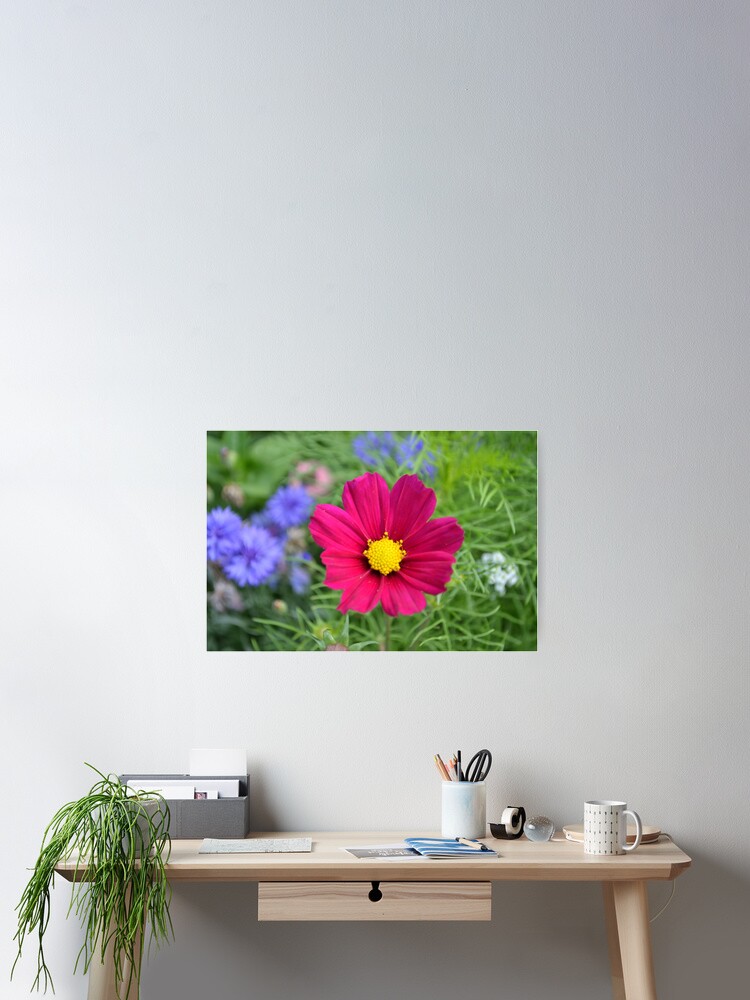 Thumbnail 2 of 3, Poster, Pink Flower designed and sold by RPMouton.
