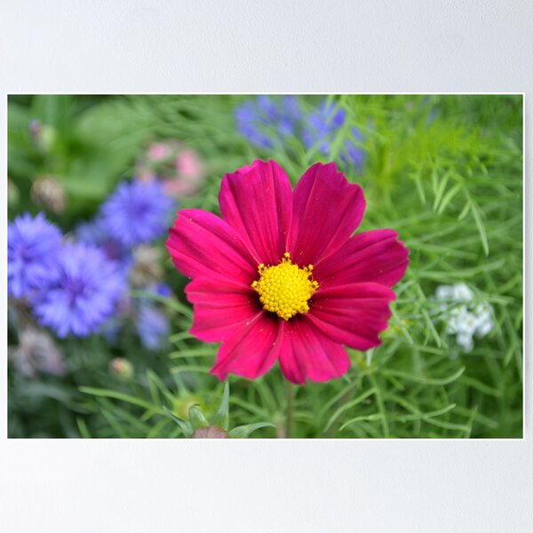 Item preview, Pink Flower designed and sold by RPMouton.