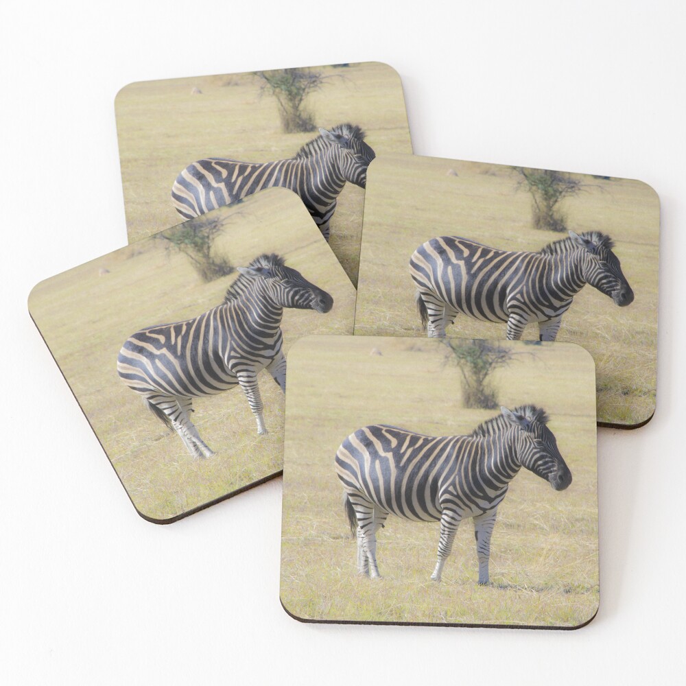 Item preview, Coasters (Set of 4) designed and sold by RPMouton.