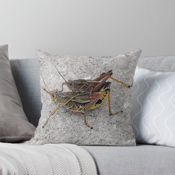 Item preview, "Lub is in the Air" Eastern Lubber Grasshoppers Mating designed and sold by AuntDot.