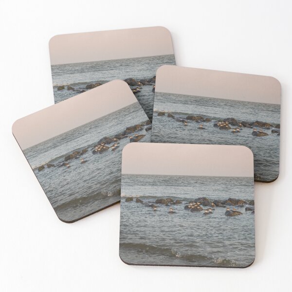 Item preview, Group of turnstone birds on rocks along the shore designed and sold by Dolfilms.