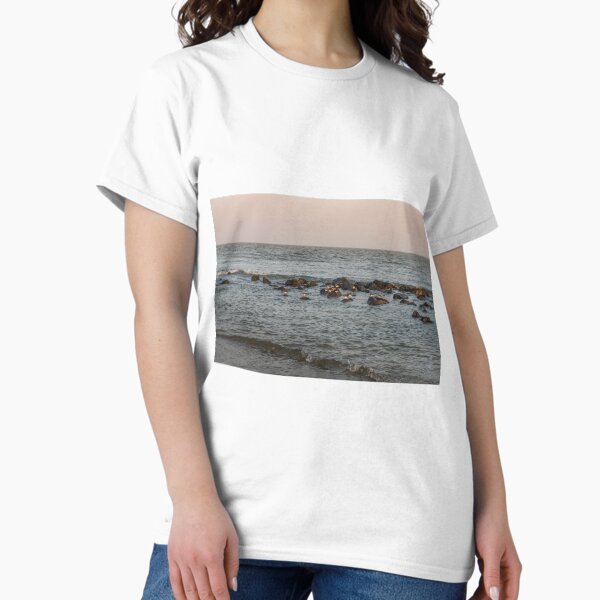 Item preview, Group of turnstone birds on rocks along the shore designed and sold by Dolfilms.