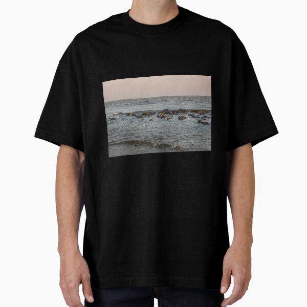 Item preview, Group of turnstone birds on rocks along the shore designed and sold by Dolfilms.
