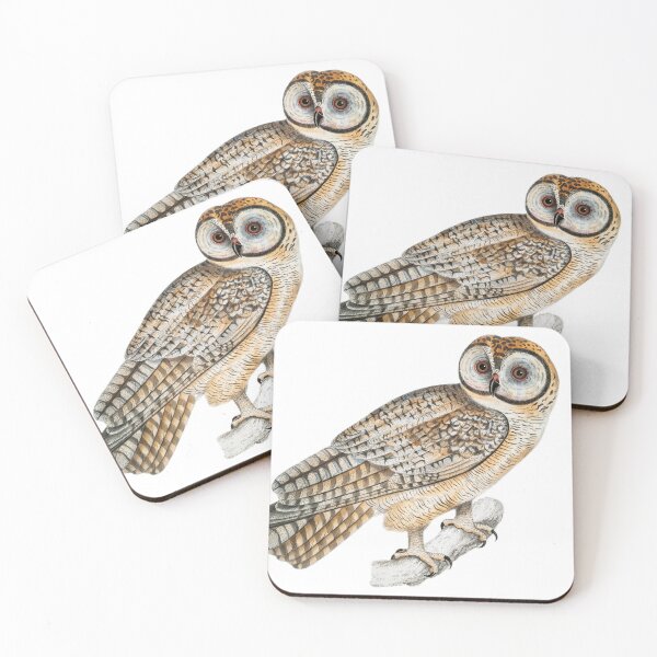 Item preview, Chinese Owl (Strix Sinensis) from Illustrations of Indian zoology (1830-1834) designed and sold by ShopThousand.